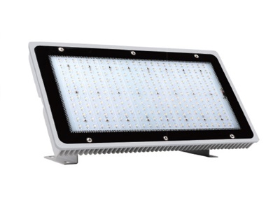 LED Flood Light