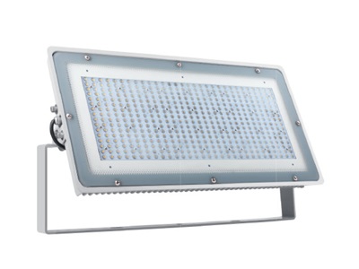 LED Flood Light